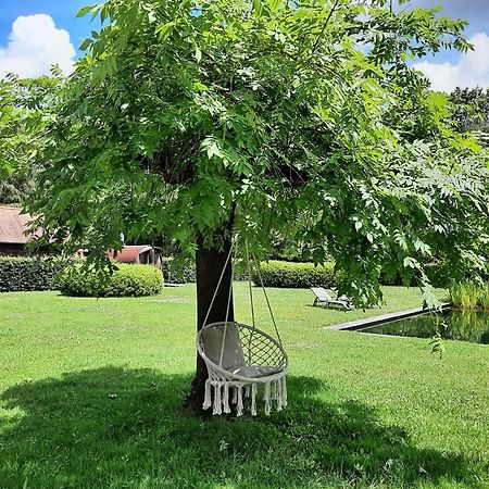 Tessenderlo B&B De Levensboom מראה חיצוני תמונה
